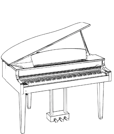 dương cầm loại lớn