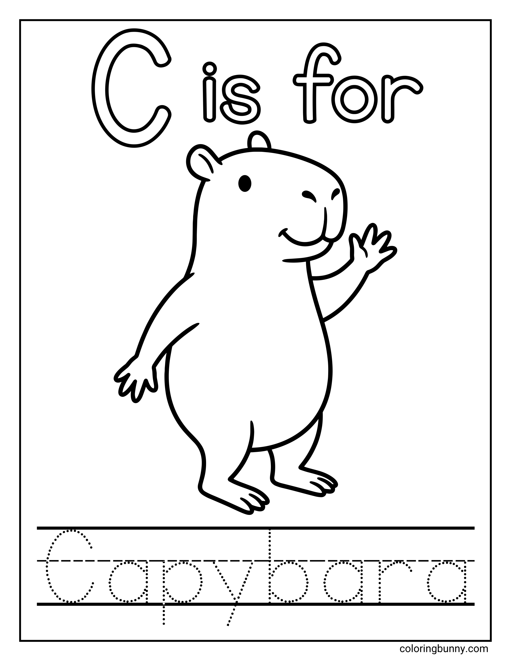 Chữ C Là Capybara Tranh Tô Màu