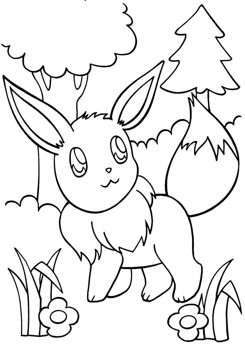Eevee Trong Rừng