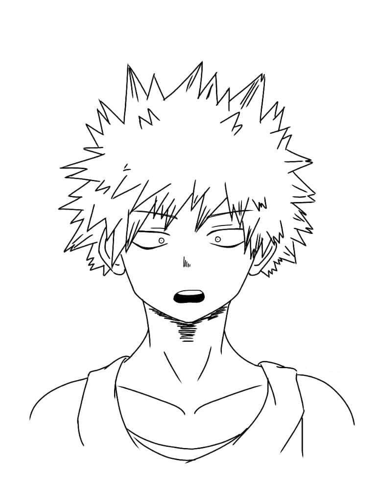 Nhân Vật Bakugo Trong My Hero Academia