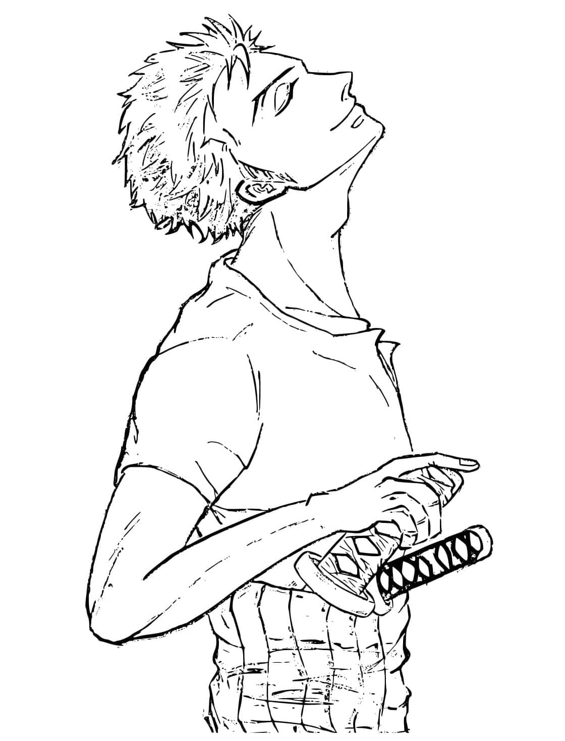 Roronoa Zoro Mỉm Cười