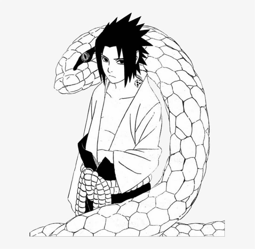 Sasuke và Con Rắn