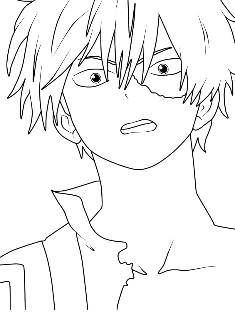 Todoroki Shoto Trong Anime