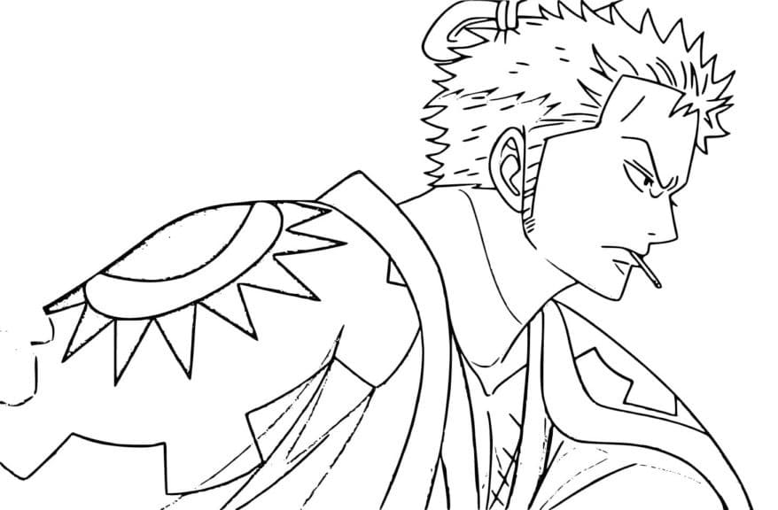 Zoro Trong One Piece