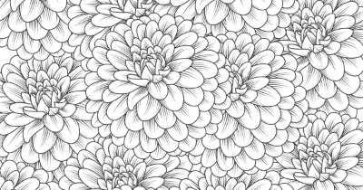 Tô Màu Hoa Cúc