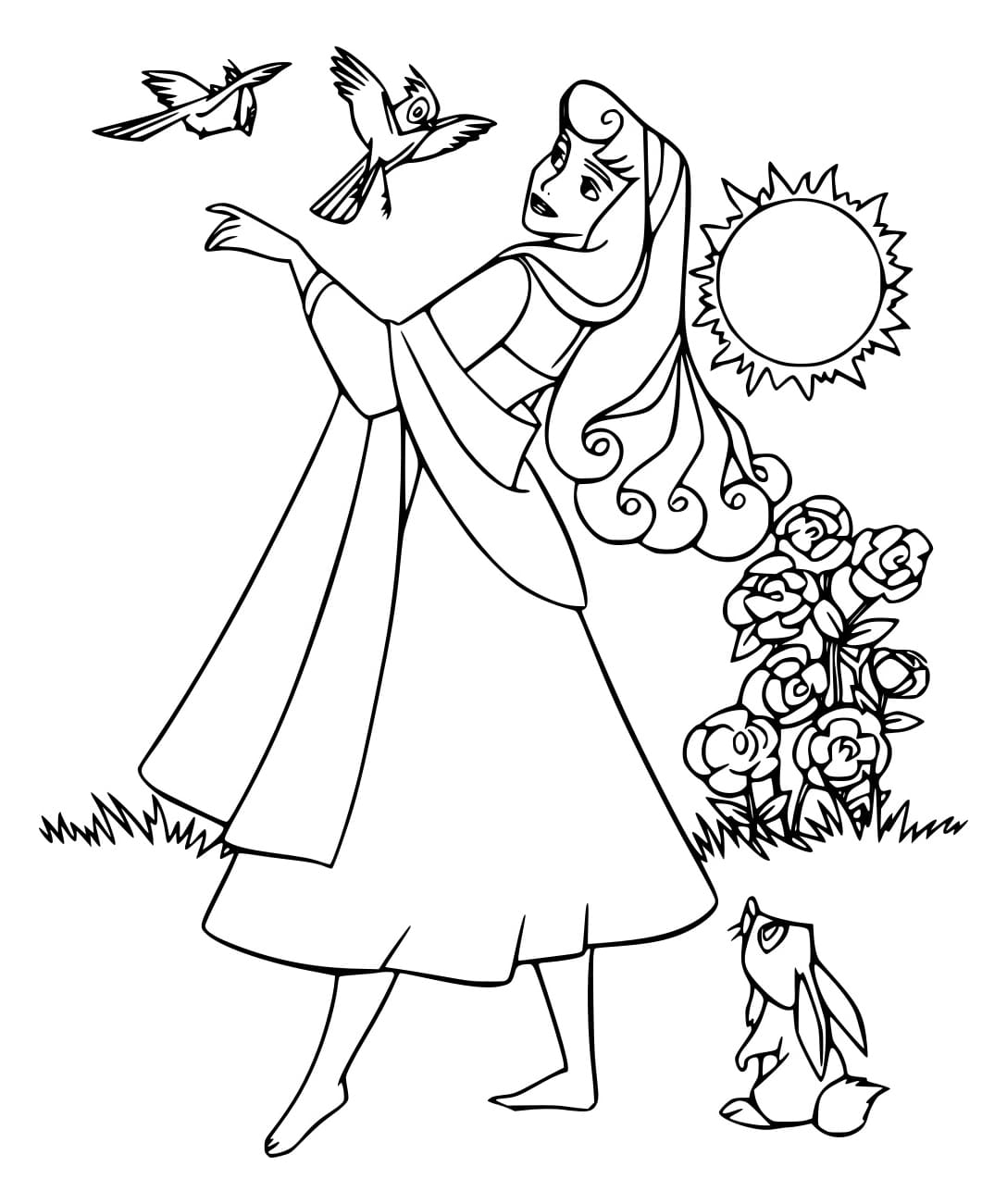 Aurora Với Động Vật Và Mặt Trời