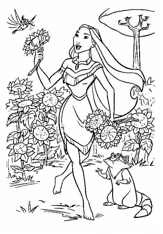 Công Chúa Pocahontas Hái Hoa