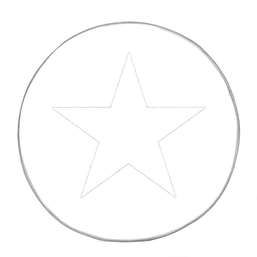 Cờ Việt Nam hình tròn