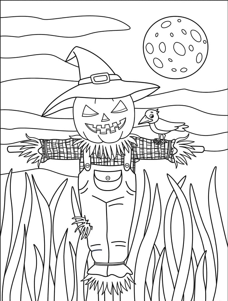 Bù Nhìn Ngoài Cánh Đồng