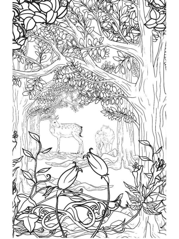 Cảnh Rừng Rậm Nhiệt Đới