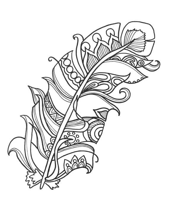 Cho Người Lớn Đơn Giản