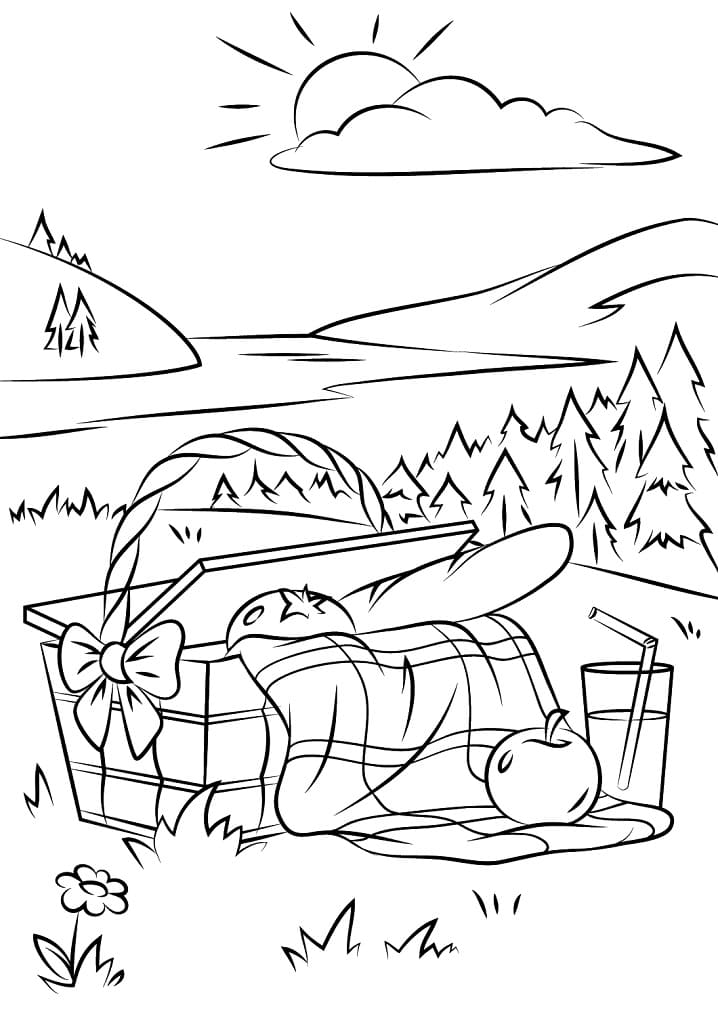 Giỏ Đồ Ăn Dã Ngoại