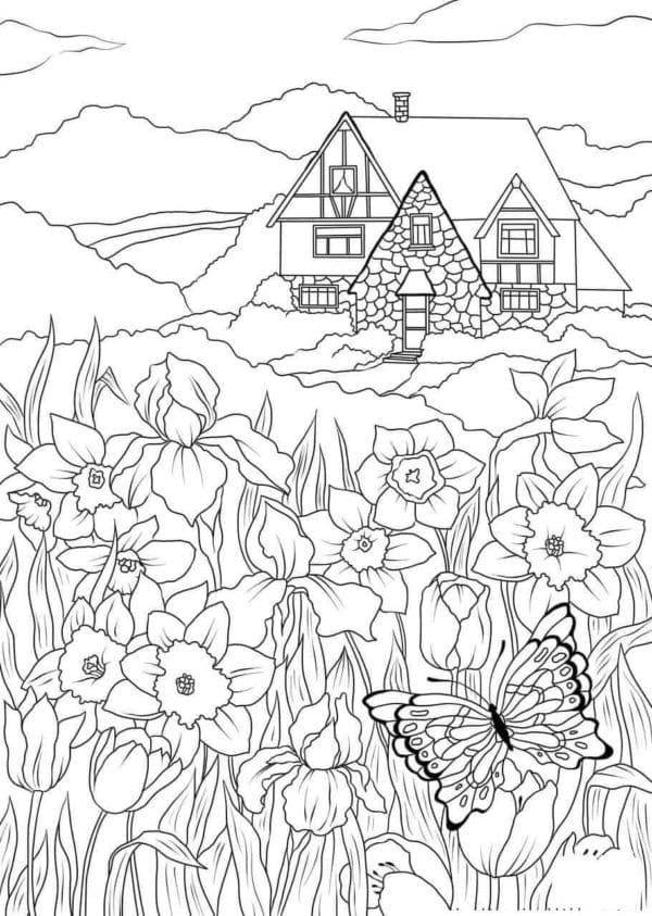 Ngôi Nhà Giữa Núi Rừng