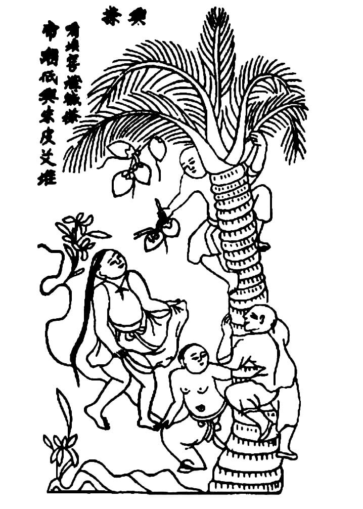 Tranh Đông Hồ Hứng Dừa