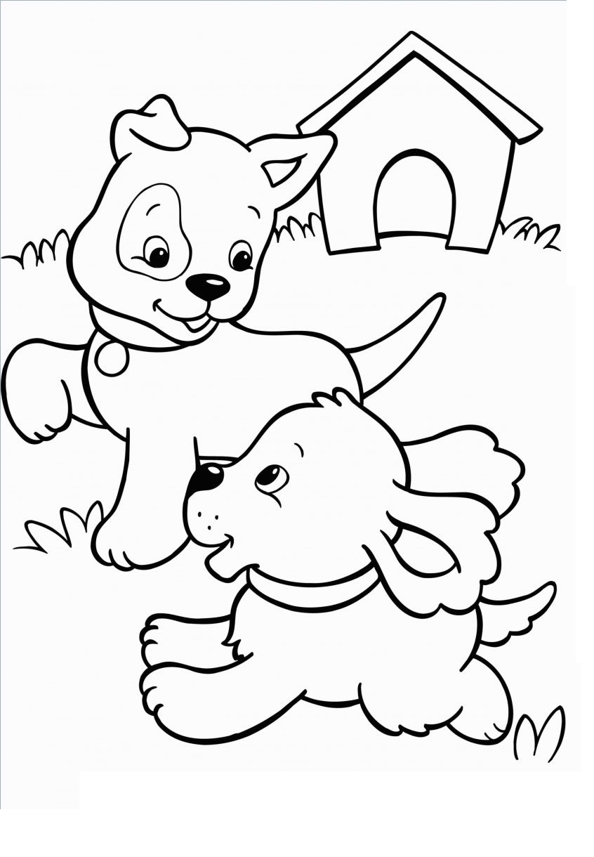 2 chú chó chơi đùa