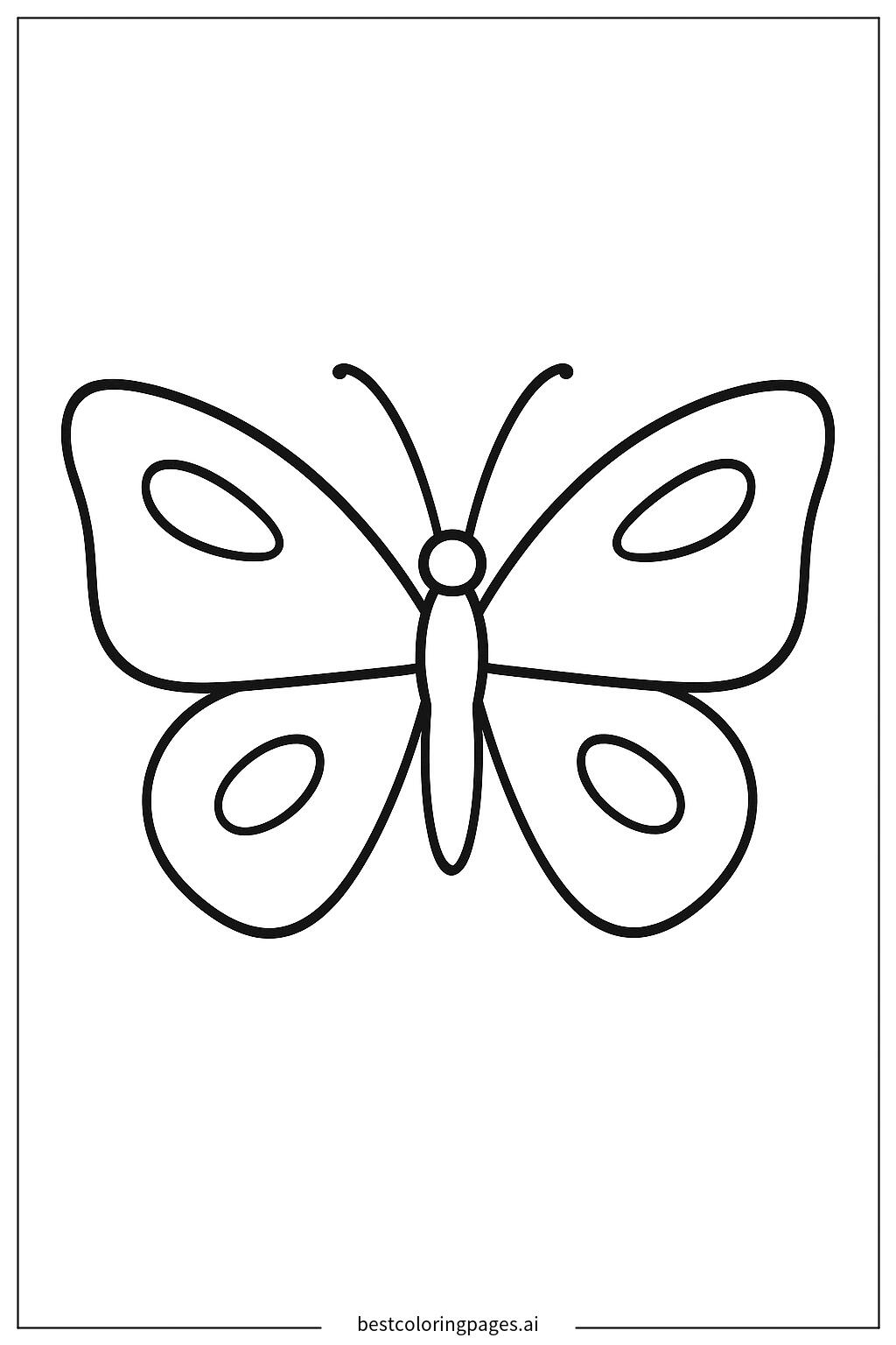 A butterfly with open wings