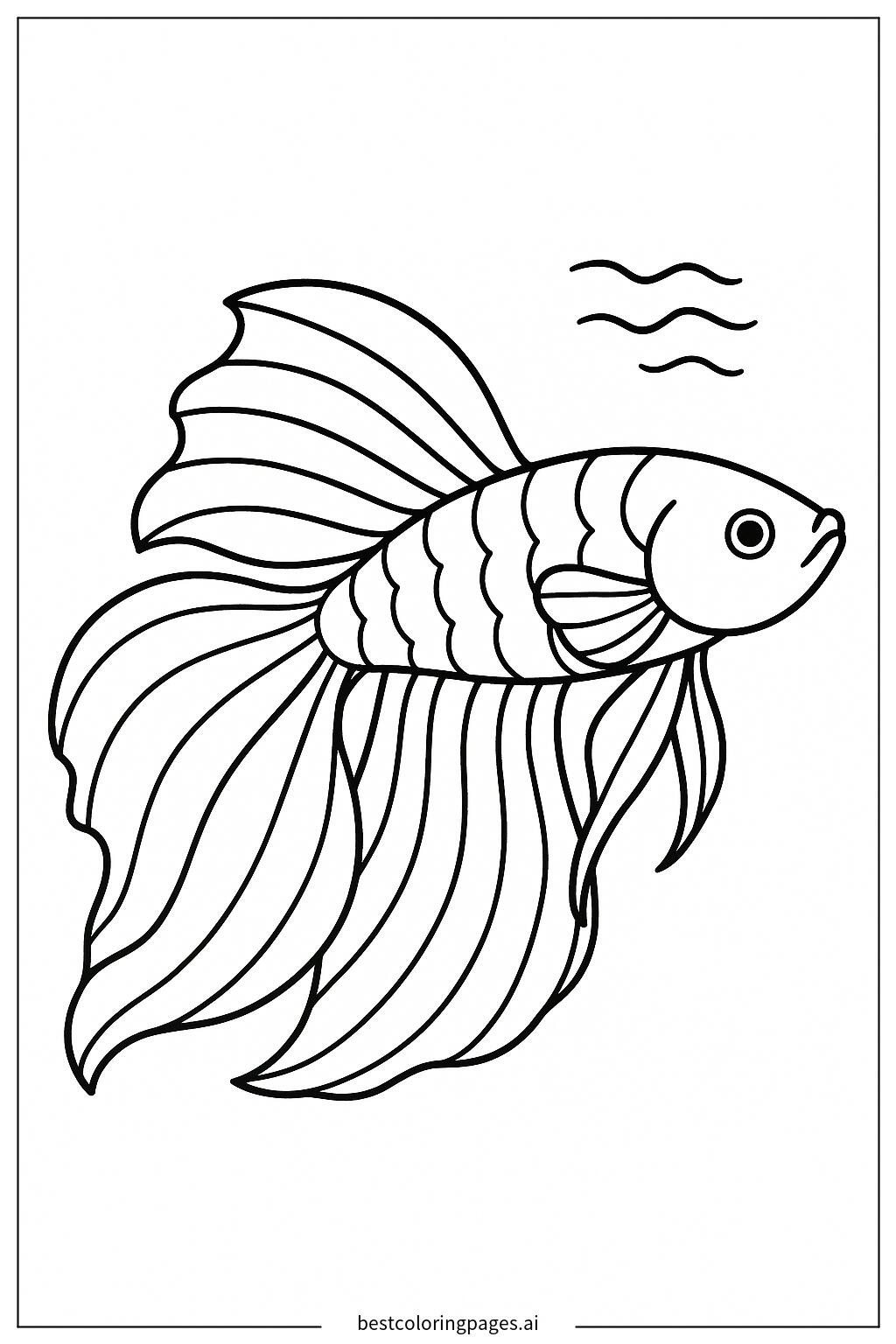 Betta fish swimming
