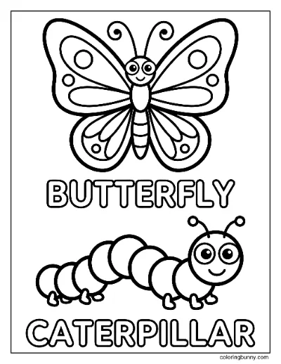 Trang Tô Màu Bướm và Sâu Bướm