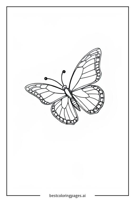 Butterfly flying alone in the sky