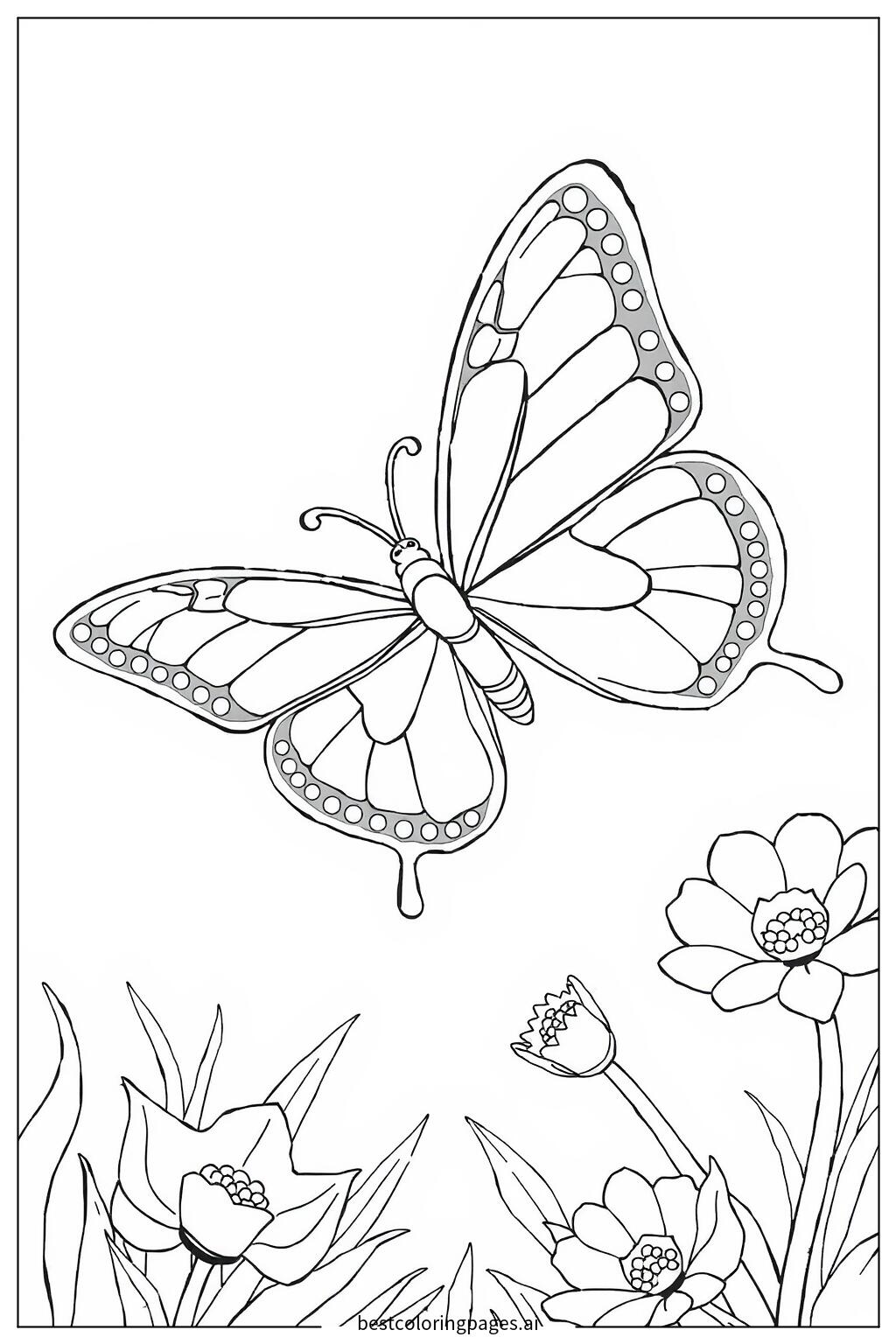 Butterfly flying