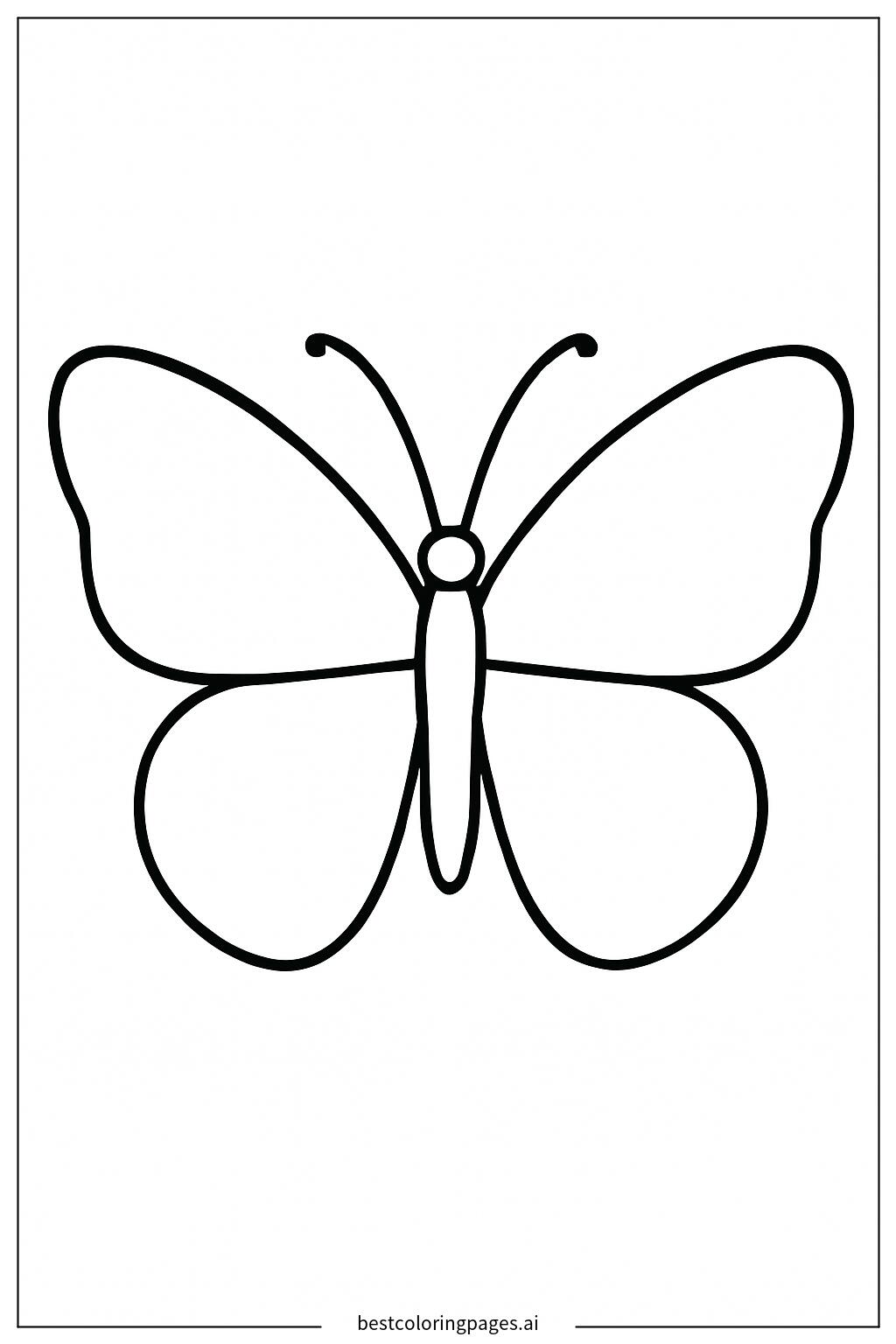 Butterfly in silhouette