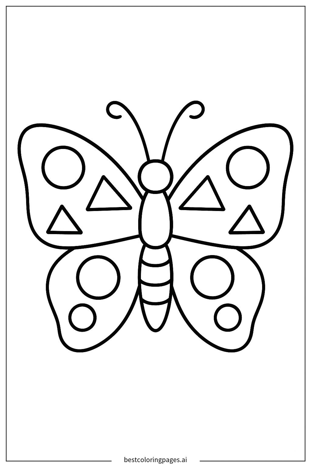 Butterfly with simple wing patterns