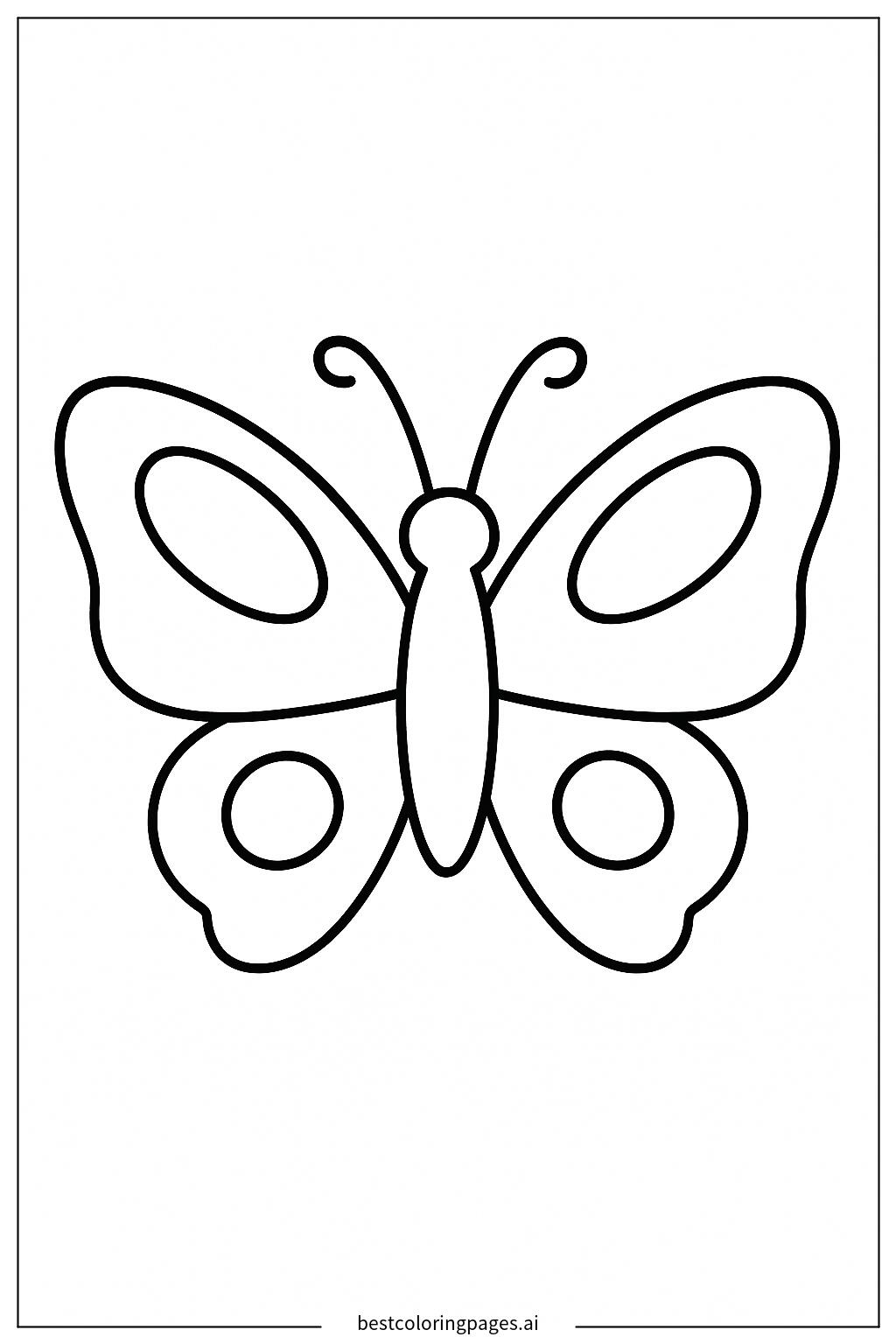 Butterfly with spread wings