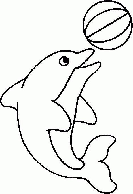 cá heo với quả bóng