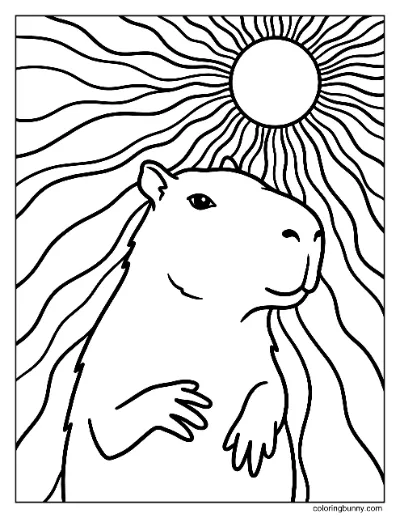 Capybara Nền Mặt Trời Tranh Tô Màu