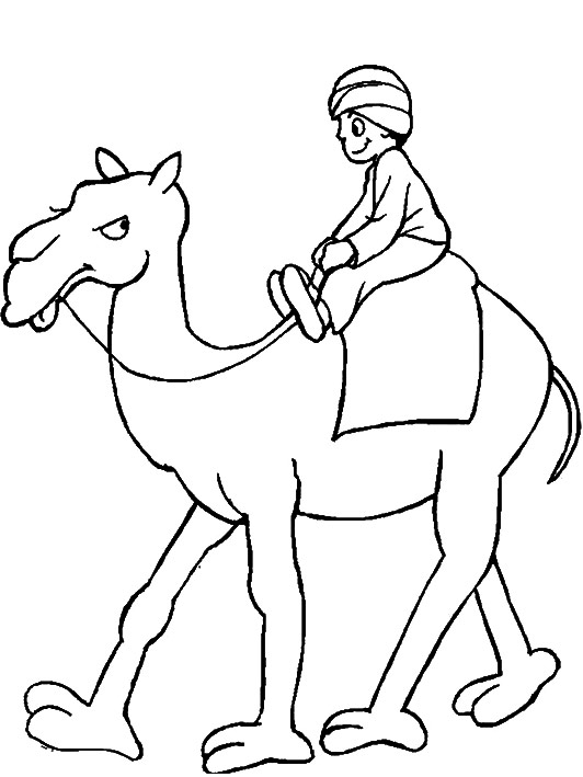 cậu bé cưỡi lạc đà