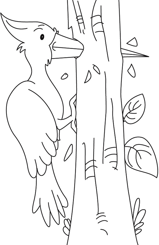 chim gõ kiến đang đục thân cây