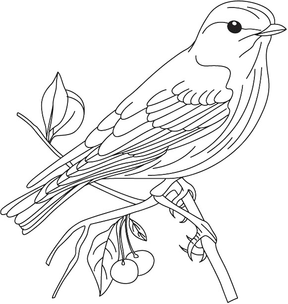 chim sẻ đậu trên cành