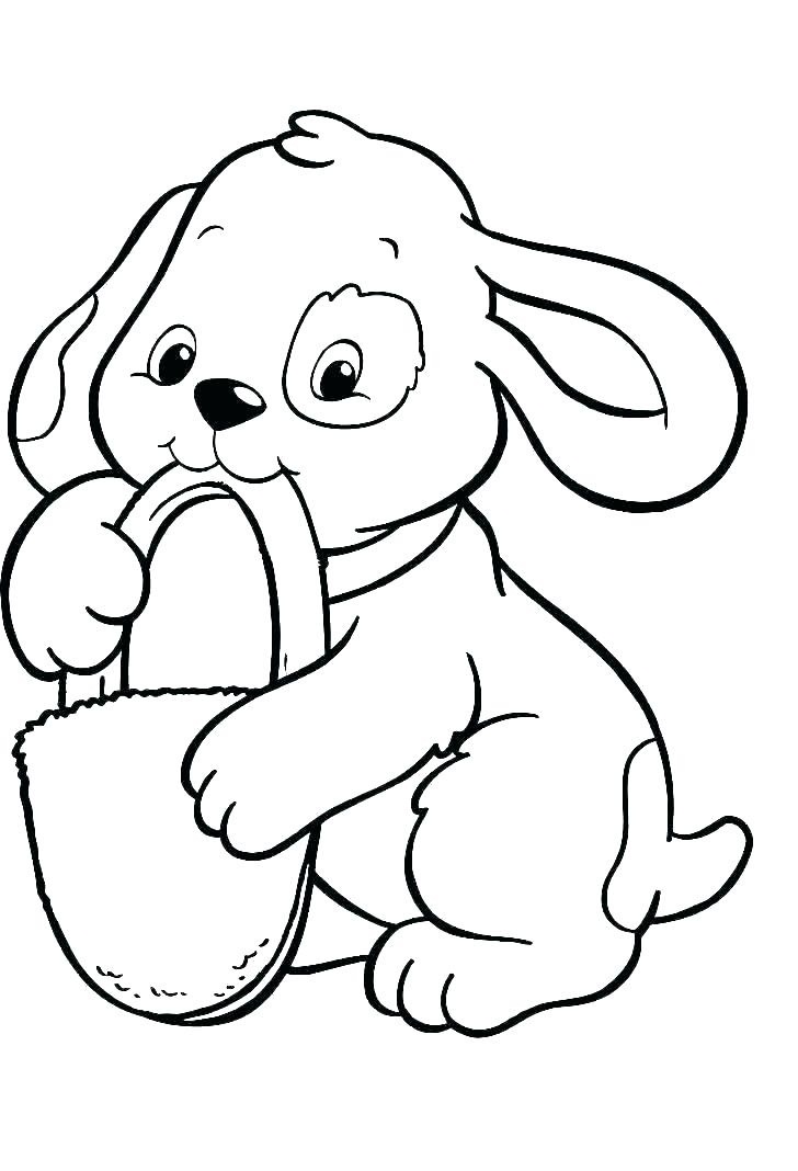 chú chó ngậm chiếc dép