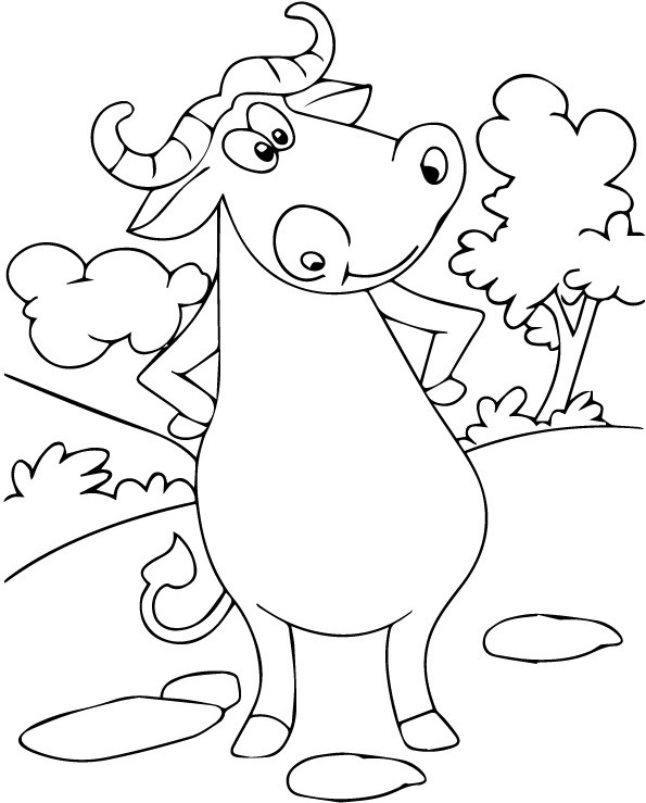 chú trâu rừng châu phi ngộ nghĩnh