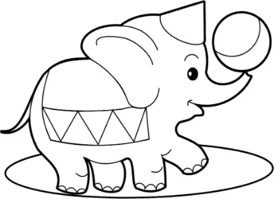 chú voi với quả bóng