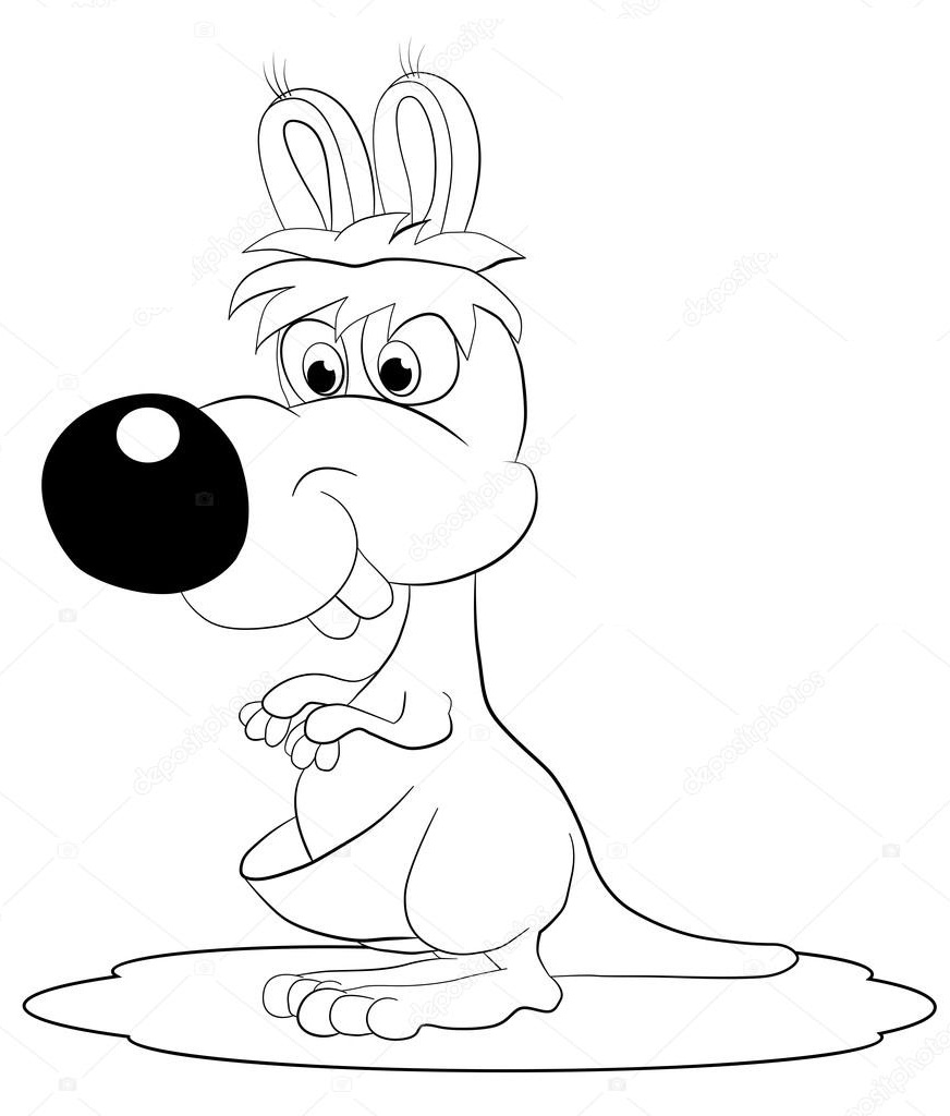 chuột túi mũi to