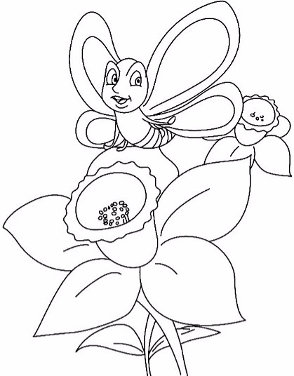 con bướm và hoa thủy tiên