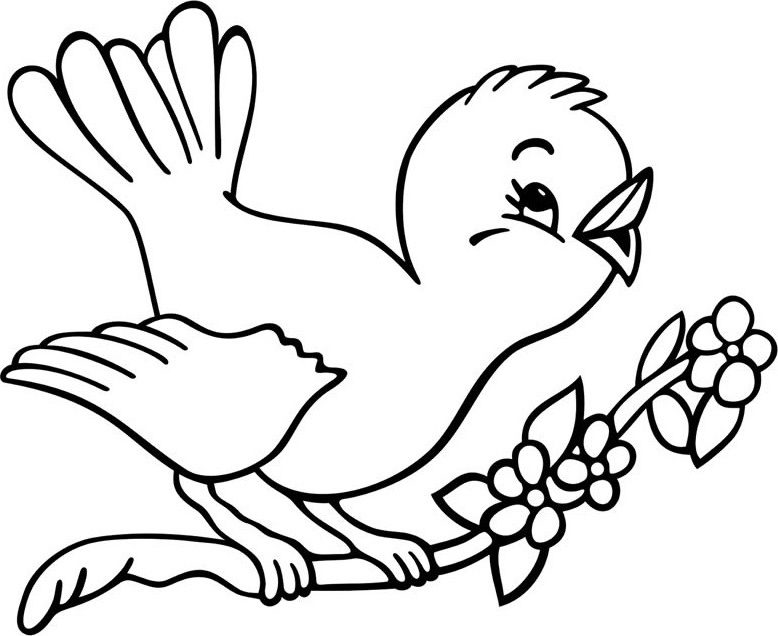 con chim đậu trên cành cây