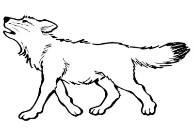 con chó sói đang hú