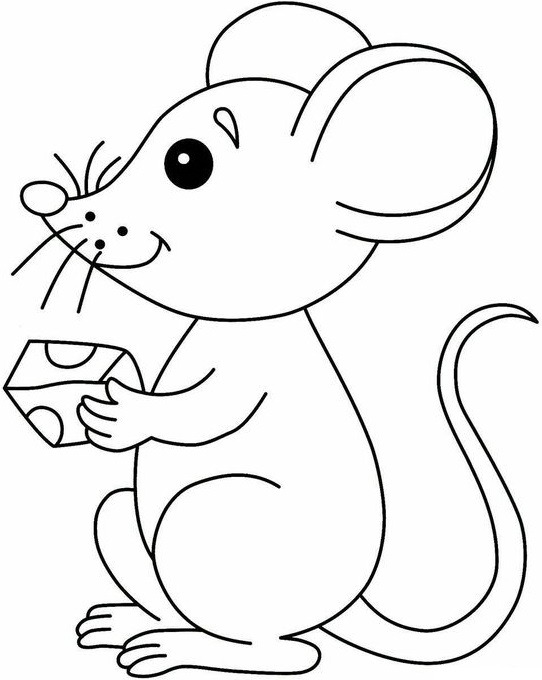 con chuột cầm phô mai