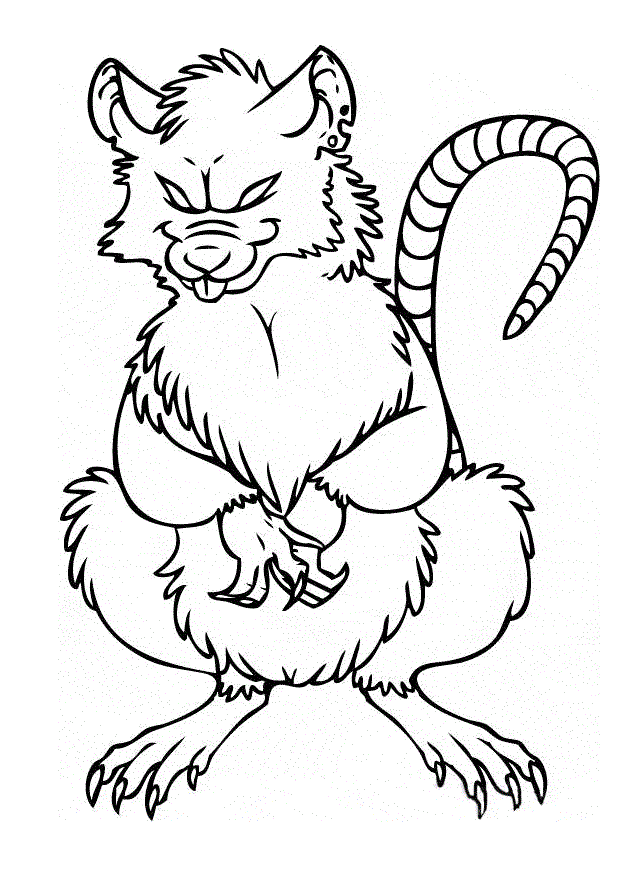 con chuột cống đáng sợ