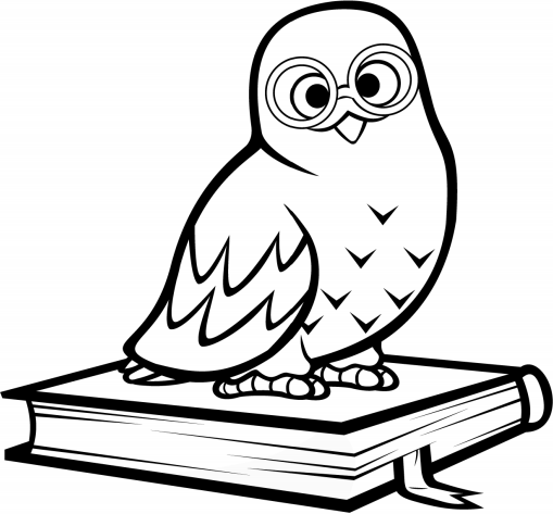 con cú đứng trên cuốn sách