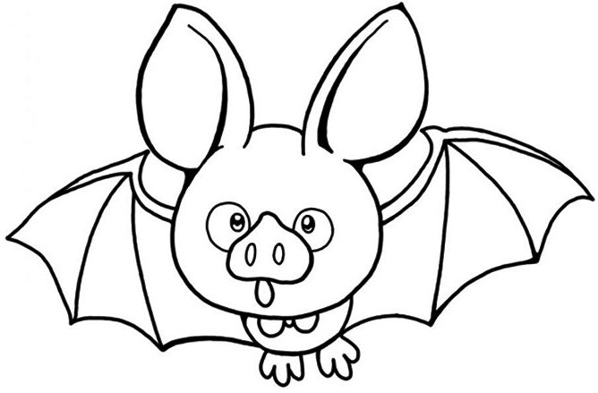 con dơi dễ thương