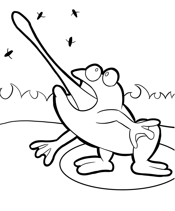 con ếch bắt ruồi