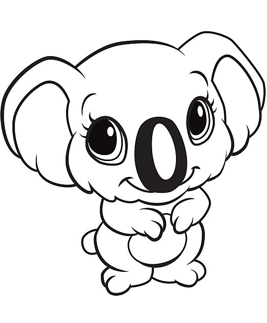 con gấu túi nhỏ xinh xắn