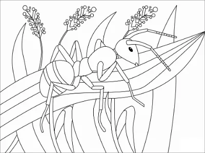 con kiến trên lá