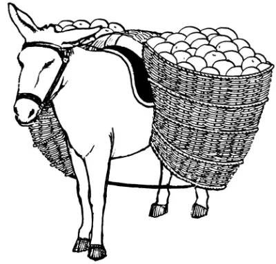 Con Lừa chở Hàng