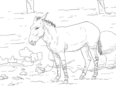 Con Lừa Đang Đứng