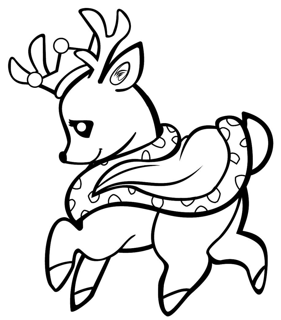 con nai đội vương miện