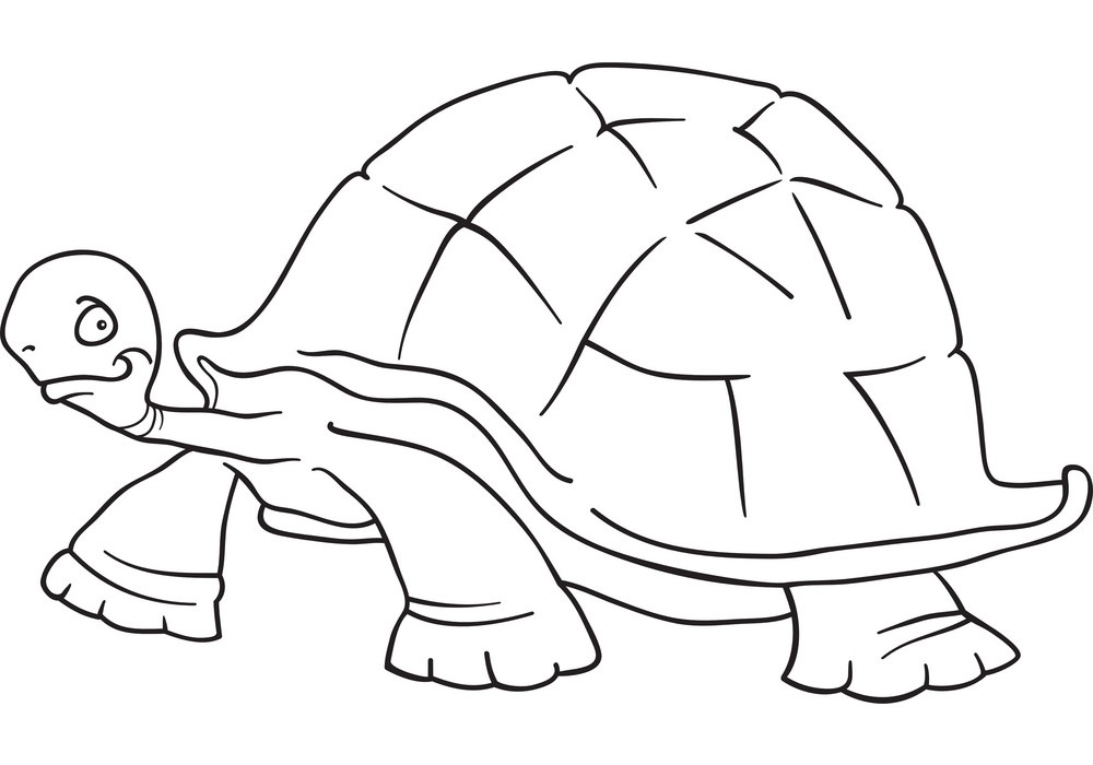 Con Rùa Hài Hước